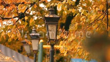 黄秋公园的老式灯笼，风吹过的叶子，公园里的大自然