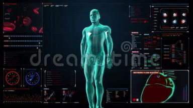 放大旋转体和扫描心。 人体心血管系统，蓝色X光.. 在数字显示用户界面面板上。