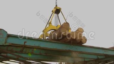 用起重机装载原木，锯木厂的起重机装载原木，在工厂工作