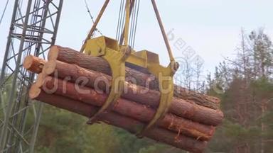 吊车搬运的一堆原木，特写.. 一堆原木悬浮在空中.. 用挖掘机捕捉森林