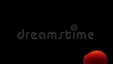一个红番茄躺在黑色背景的透明水下