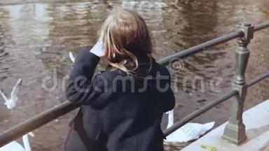 小女孩在水边喂天鹅和海鸥。 小女孩子在秋河码头喂水鸟。 后景。