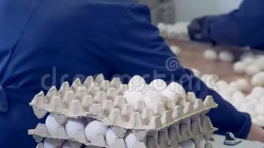 工厂员工正在一家家禽<strong>养殖场</strong>将白蛋包装成纸箱托盘。