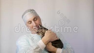 兽医抚摸小猫，在手术前安抚他。