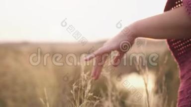 日落时，年轻女子手牵着手穿过荒野的草地。 女手摸野花特写.. 夏季
