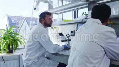 科学家和他的助手在实验室工作。 <strong>博士</strong>教学实习生进行分析研究。 实验室工具