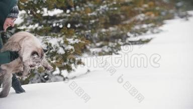 穿着绿色<strong>羽绒服</strong>和眼镜的女孩在冬天的森林里走着一只毛茸茸的大猫
