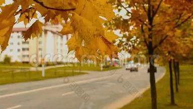 秋日秋日秋日苹果树和树叶在城道附近落下，十月落在城中