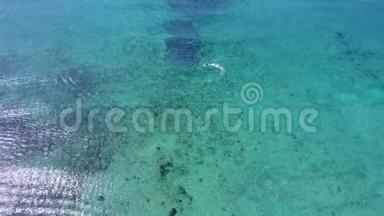 空中无人机射击。 从上面的水上滑板车从鸟的视野`。 绿松石水景珊瑚海岸