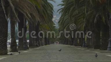拉斯派西亚灰色寒冷的一天，低旅游季节，有棕榈树的长廊小巷