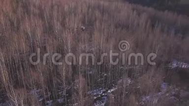 黑色无人驾驶飞机飞过树顶和雪地上的小片<strong>土</strong>地，拍摄冬天或春天的<strong>视频</strong>