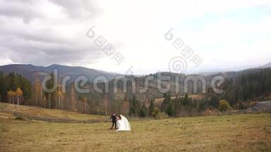 年轻漂亮的新婚夫妇牵着手走在金色的草地上的后景