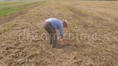 农夫在田间地头上捡稻草，检查收割机后的产量损失