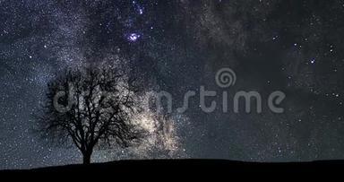 美丽的天文时间流逝。 银河时间流逝。 孤独树