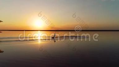 夕阳西下的湖面上，男人控制着一只明亮的训练风筝