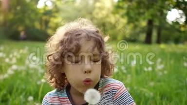 一个留着卷发的可爱的小学生正在一片夏日绿荫下吹着一朵蒲公英。 动态视频