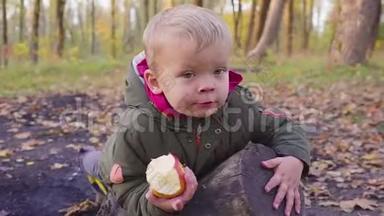 可爱的小宝宝在秋天的公园里，黄叶在吃苹果。