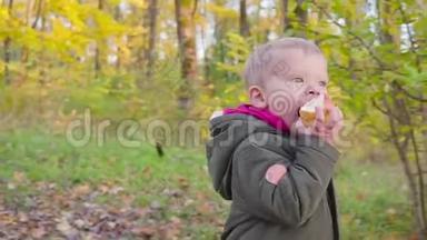 可爱的小宝宝在秋天的公园里，黄叶在吃苹果。
