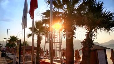 清晨，阳光透过沙滩上的棕榈树照射