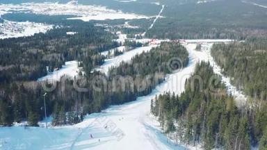 从滑雪道两侧有针叶树的滑雪道上观看滑雪坡和人们滑雪板