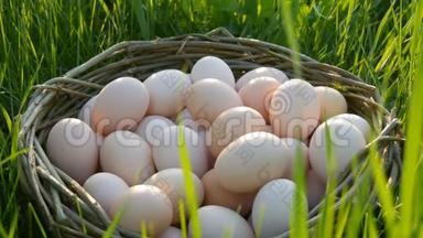 在阳光的照射下，绿色的草地上有一个手工制作的柳条窝，这是一个巨大的自制鸡蛋的场景