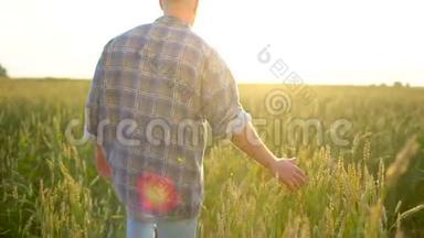 在日落或<strong>日出</strong>时，幸福的农夫在美丽成熟的麦田里散步。 男农摸着自己<strong>农场</strong>的麦穗