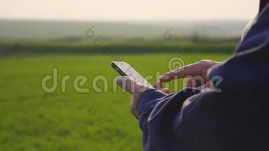 农学家成熟的人在农业农场使用智能手机。 把手里拿着手机的农民关在田里。