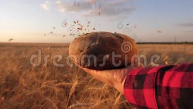 麦粒落在女孩<strong>手中</strong>的面包上，覆盖着一片麦田。 成熟的谷物倒在美味的面包上。 慢慢