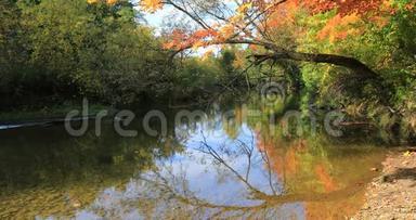 4K小溪边秋色绚丽