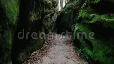 林中的一条石步道在露天的<strong>丘陵地</strong>形上，爬山。 阴云密布的绿色天气