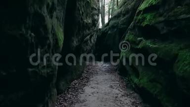 林中的一条石步道在露天的丘陵地形上，爬山。 阴云密布的绿色天气