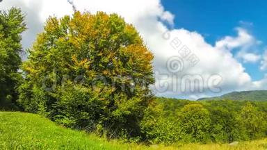 秋色绚丽的树木、草地和山丘