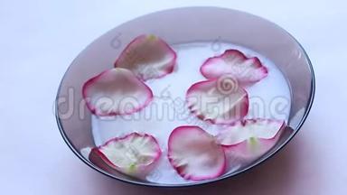 玫瑰花瓣漂浮在牛奶里。 牛奶中花瓣的视频。 盘子里有牛奶。