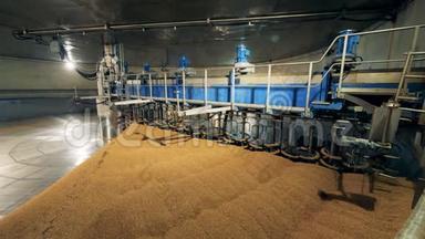 有粮食和设备的仓库.. 啤酒厂处理麦芽。