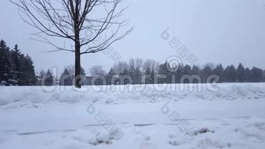郊区公共公园的暴风雪。 郊区住宅区雪化自然景观。 北雪天气风景区