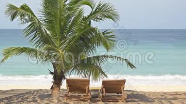 沙滩椰棕树下的<strong>酒廊</strong>阳光床