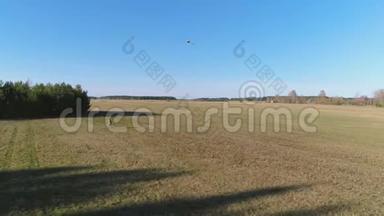 年轻人放风筝，和他一起跑过田野。 空中全景。