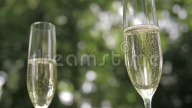绿色背景上有两个带有气泡的香槟酒的玻璃杯