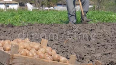一个人在棺材里种土豆