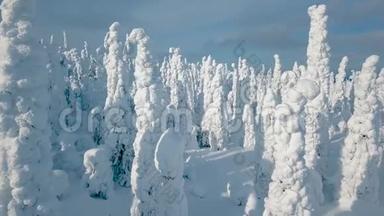空中俯瞰寒冷的冬天，有很多<strong>雪</strong>和<strong>蓝天</strong>。 芬兰的<strong>冬季</strong>景观。
