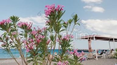 海边一片舒适的沙滩，前景中有美丽的花朵.. 在海边休息