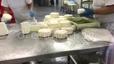 奶酪师在奶牛场制作奶酪并在香料中滚动