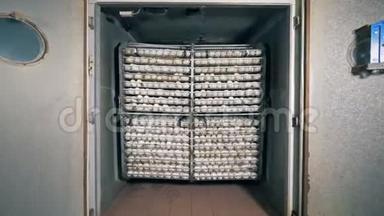 一组收集的鸡蛋放在电池场里