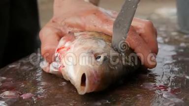 一个渔夫砍掉了刚被抓住的活泼的<strong>大鱼</strong>的头。 清洗鱼，以便进一步烹饪