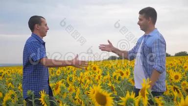 两个农民男子握手交易业务探索步行检查向日葵作物田间慢动作视频