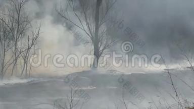 森林火灾后的白天。 大火烧过大面积的大自然后，浓烟滚滚. 烟雾缭绕的树木