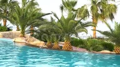 <strong>酒店海边</strong>的游泳池和棕榈树