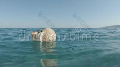 漂浮在海面上的巨贝壳