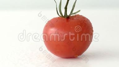 手在白色背景上<strong>缓慢</strong>地<strong>转动</strong>一个成熟的番茄