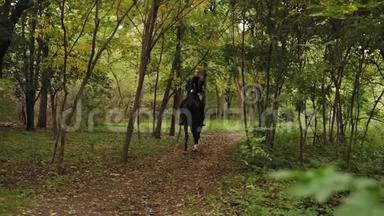 在公园驰骋：年轻的女骑手骑在马背上，在阴凉的森林驰骋。 晴天骑马。 骑马